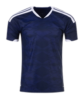 Sco home