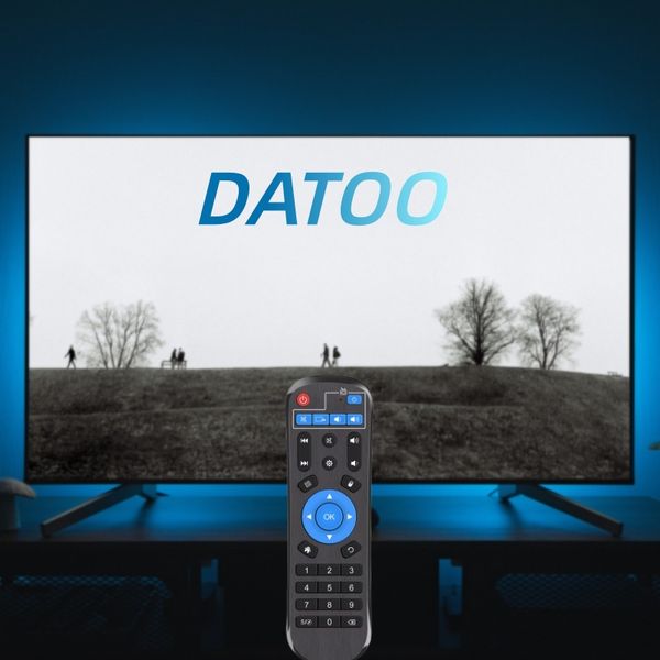 Datoo Smart TV Remote Controller Universal Remote Control Wireless